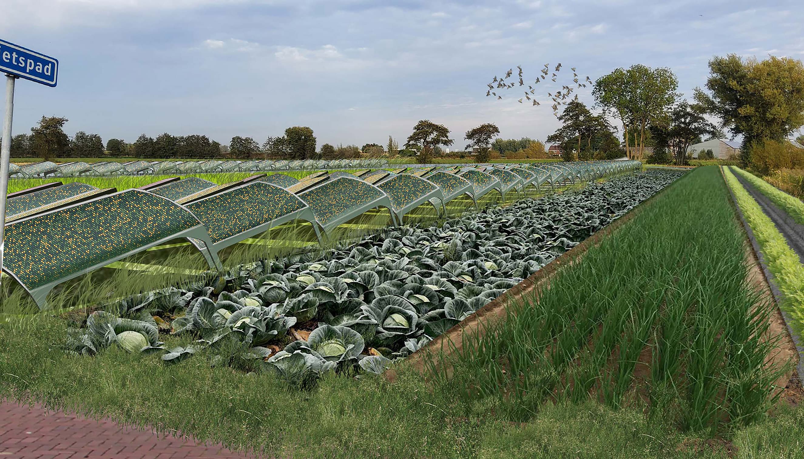 De zonnekever | energie opwekken in het landschap | Solarix