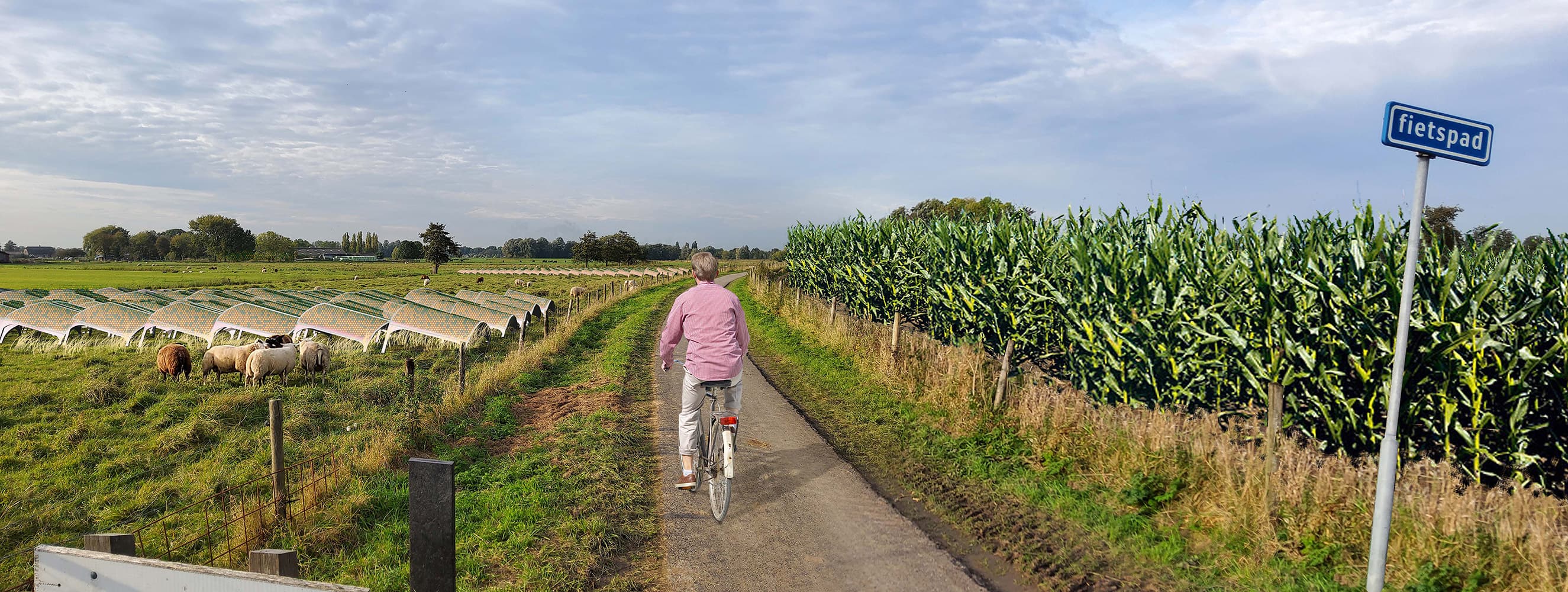 De zonnekever | energie opwekken in het landschap | Solarix